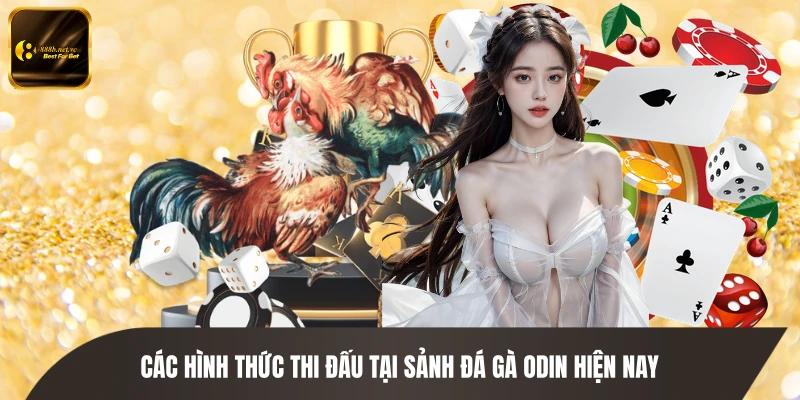 Các hình thức thi đấu tại sảnh đá gà ODIN hiện nay