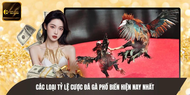 Các loại tỷ lệ cược đá gà phổ biến hiện nay nhất