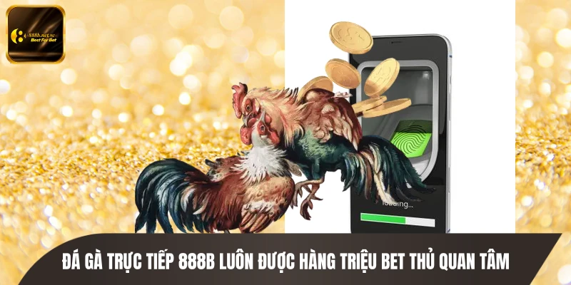 Đá gà trực tiếp 888B luôn được hàng triệu bet thủ quan tâm