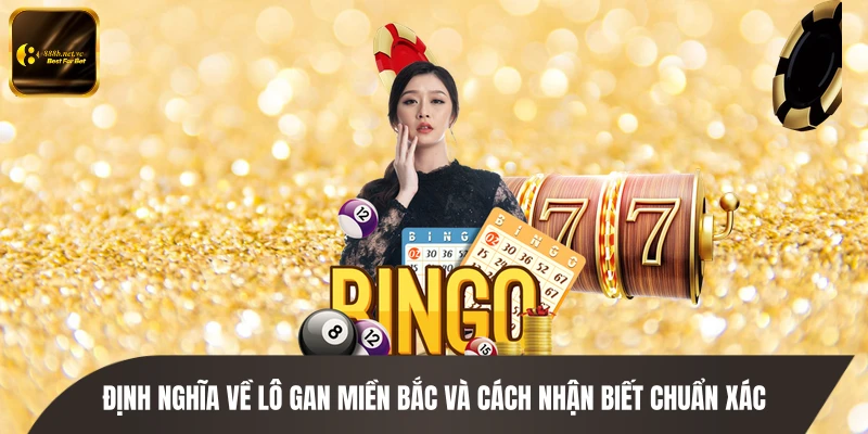 Định nghĩa về lô gan miền Bắc và cách nhận biết chuẩn xác