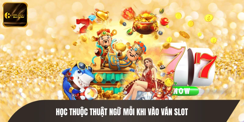 Học thuộc thuật ngữ mỗi khi vào ván slot