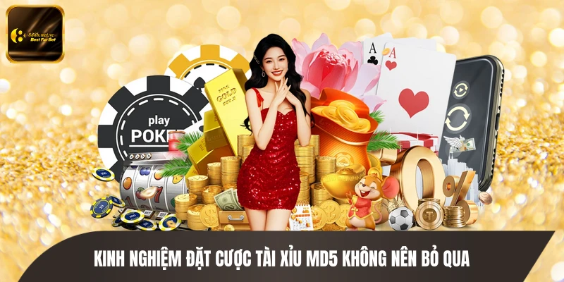 Kinh nghiệm đặt cược tài xỉu MD5 không nên bỏ qua