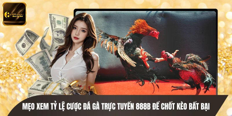 Mẹo Xem Tỷ Lệ Cược Đá Gà Trực Tuyến 888B Để Chốt Kèo Bất Bại