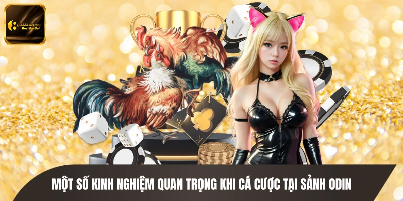 Một số kinh nghiệm quan trọng khi cá cược tại sảnh ODIN