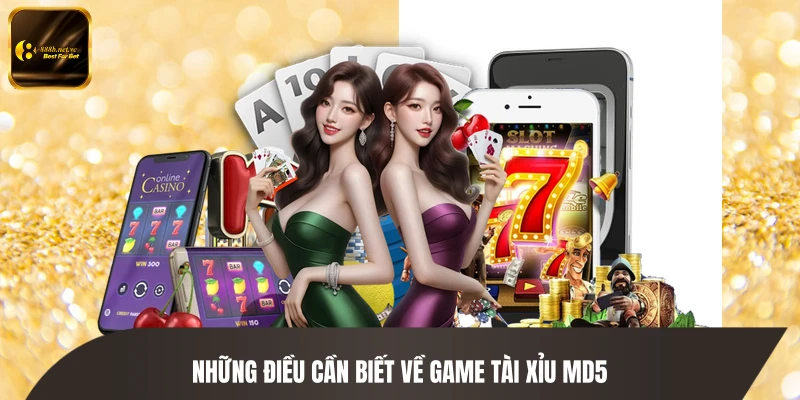 Những điều cần biết về game tài xỉu MD5