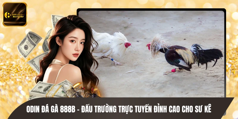 ODIN Đá Gà 888B - Đấu Trường Trực Tuyến Đỉnh Cao Cho Sư Kê