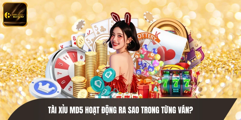 Tài xỉu MD5 hoạt động ra sao trong từng ván?