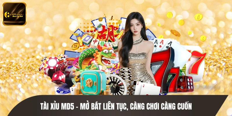 Tài Xỉu MD5 - Mở Bát Liên Tục, Càng Chơi Càng Cuốn