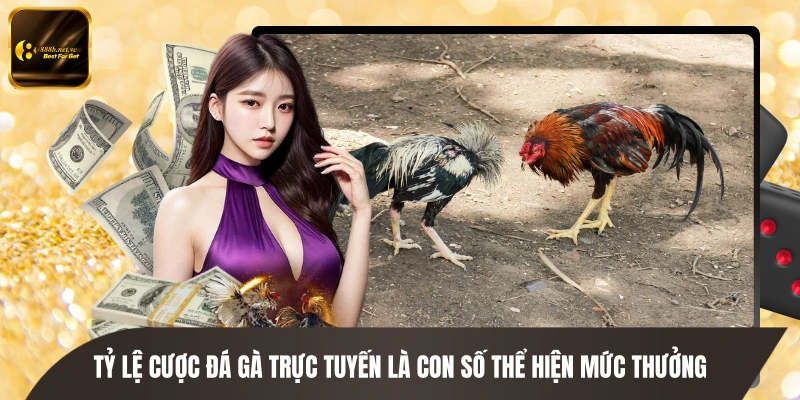 Tỷ lệ cược đá gà trực tuyến là con số thể hiện mức thưởng