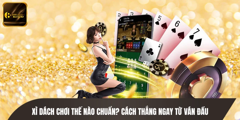 Xì Dách Chơi Thế Nào Chuẩn? Cách Thắng Ngay Từ Ván Đầu